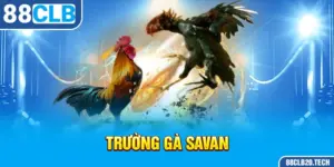 1-truong-ga-savan