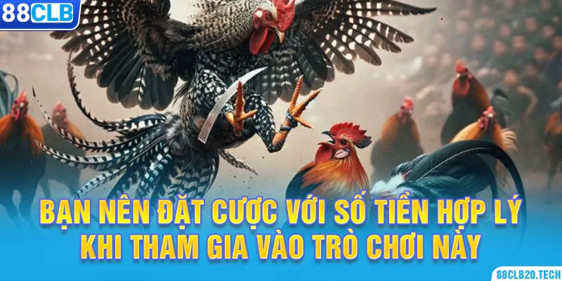 Bạn nên đặt cược với số tiền hợp lý khi tham gia vào trò chơi này